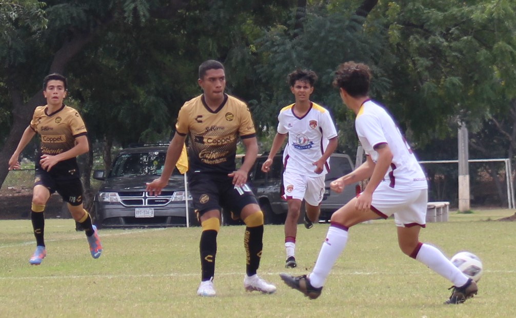 DORADOS TONALA